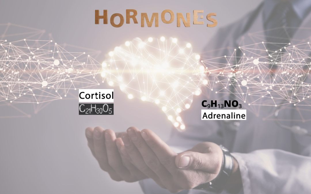¿Qué hacer con las hormonas que se alteran en la ansiedad?